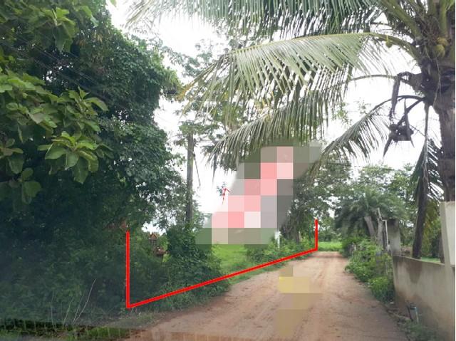 ��º�ҹ ��ѭ�����������