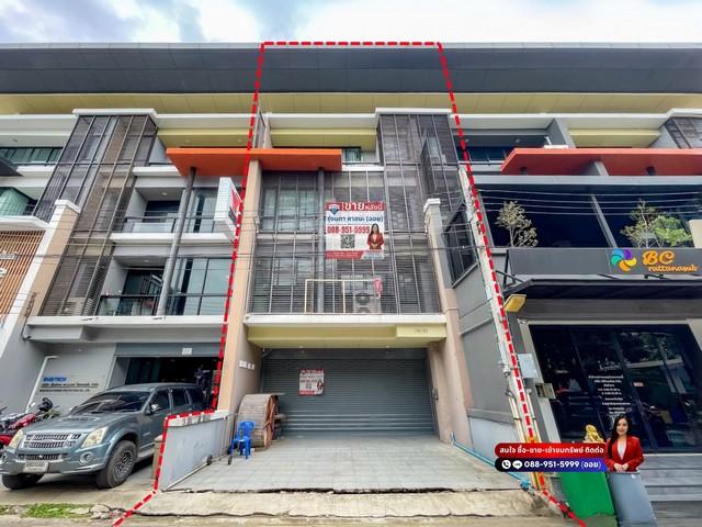 ����Ҥ�þҳԪ�� �ҧ���� ��ا෾