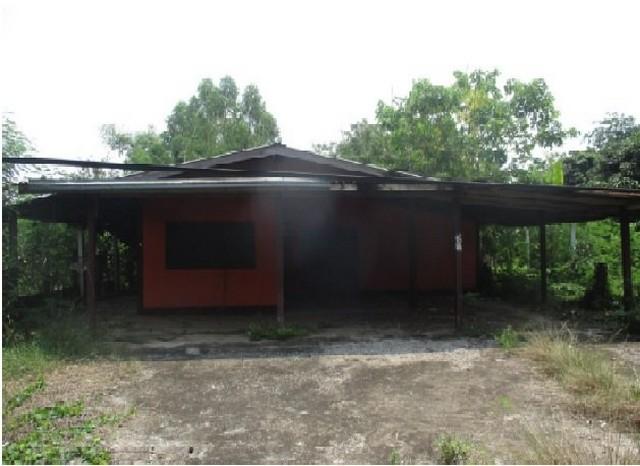 ��º�ҹ ���ͧ������������