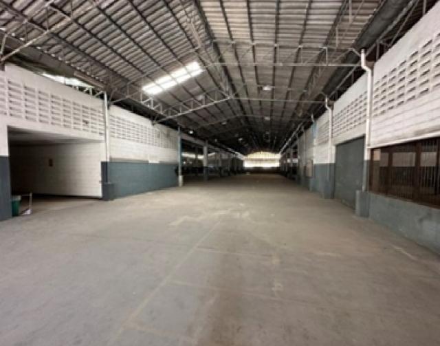 ⡴ѧ������ �ҧ�ҡ�ا෾