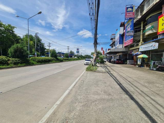 �Ҥ�þҳԪ�������� ��§����