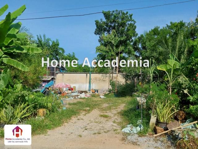 ���Թ ��ѡ���