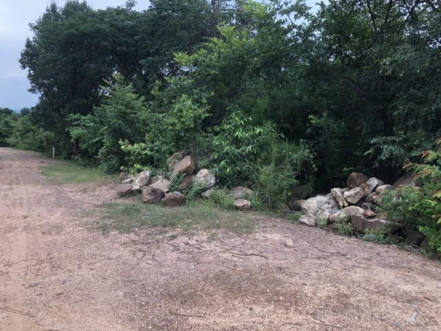 ���Թ ����ӵ�