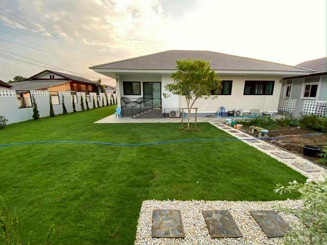 ��º�ҹ �ѹ��ᾧ��§����