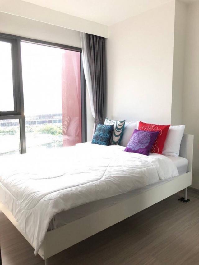 �Ҫ��� �� Asset X Property