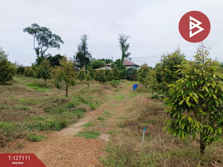 ��·��Թ 20,000,000 �ҷ