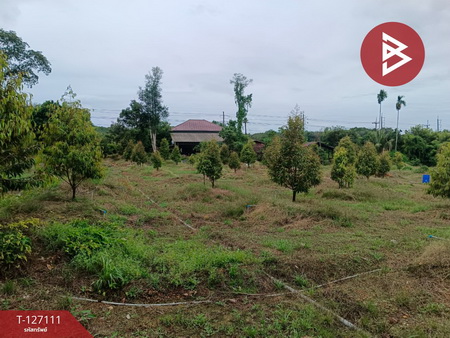 ��·��Թ ���ͧ��Ҵ��Ҵ