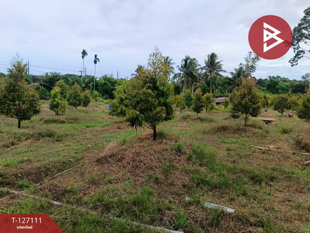 ��·��Թ ���ͧ��Ҵ��Ҵ