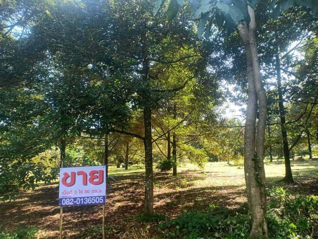 ���Թ ���ǹ �����¹