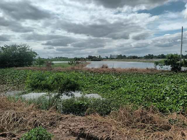 ���Թ����ء �ؾ�ó����