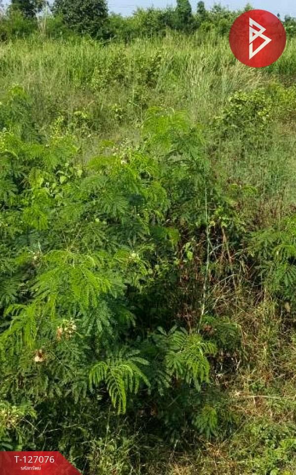 ��û�� �� The Best Property Agent