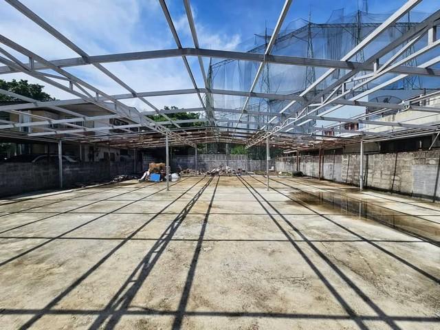 ����Ҵ����� �� asangha PL