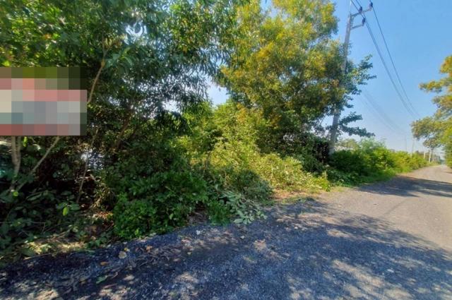 ���١�� �� Baan Bangkok Broker