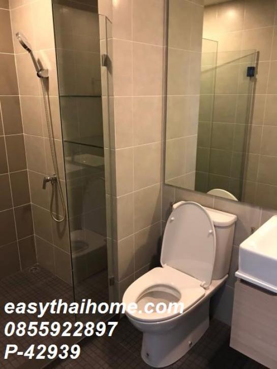 �͹�������ͧ �ҧ��