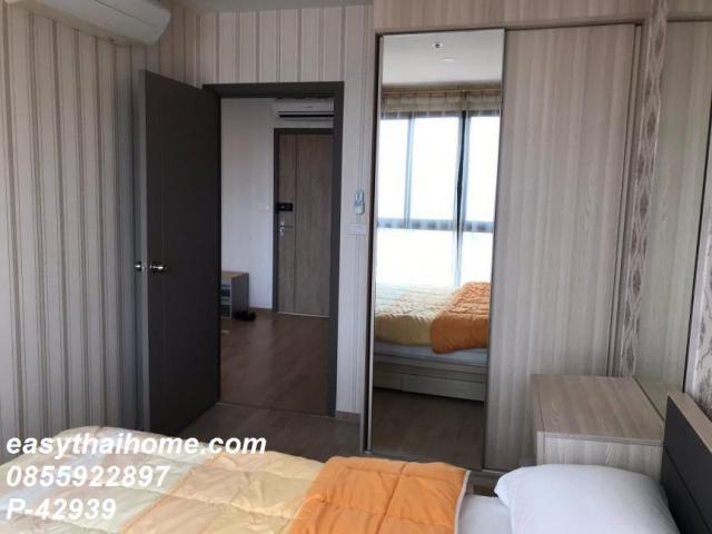 �͹ⴾ�����������ѹ�� �ҧ��