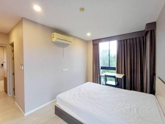 �͹����ͧ��§���� ��§����