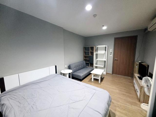 �͹� ����������