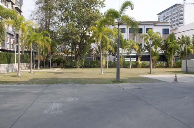 �͹����ͧ��§���� ��§����