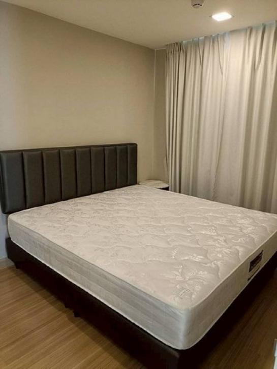 คอนโด79 29 คอนโด79 29