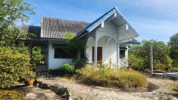 ���Թ 19 ���