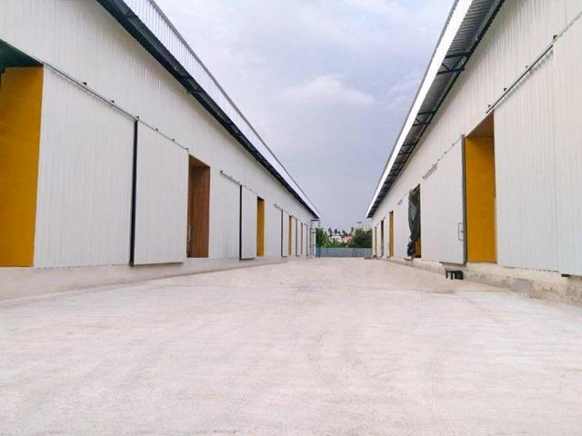 ⡴ѧ ��������