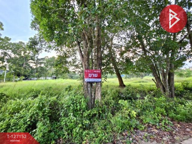 ���Թ ���ǹ �����