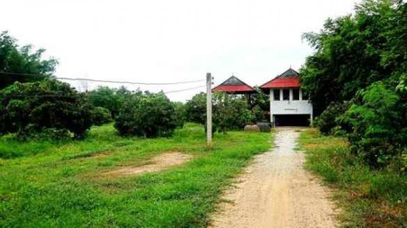 ที่ดิน ติดถนนคอนกรีต 600 ตารางวา ที่ดิน ติดถนนคอนกรีต 600 ตารางวา