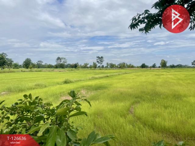 ���Թ 21 ���