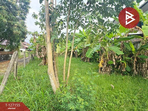 �ѹ����� �� The Best Property Agent