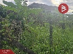��� ���Թ ��ا