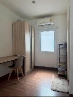 ������ ��ǹ������� 20 ���ҧ��