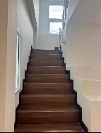 ��ǹ������� �ҧ��Ƿͧ 20 ���ҧ��