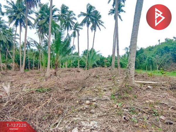 ���ͧ �� The Best Property Agent