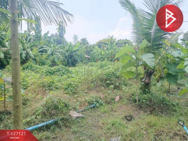 ��û�� �� The Best Property Agent