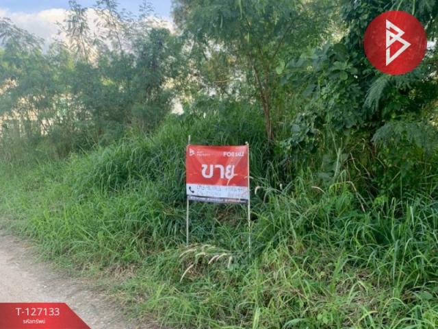 �ź��� �� The Best Property Agent