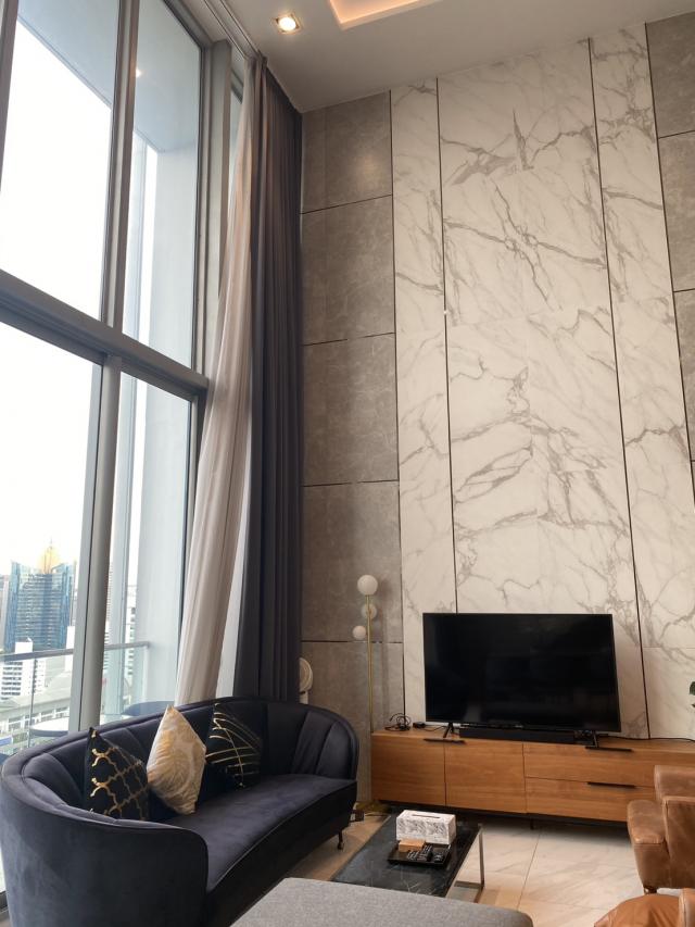 �͹� 41 ���ҧ��