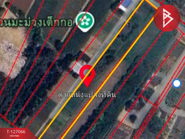 ��û�� �� The Best Property Agent