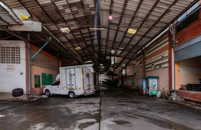 �ç�ҹ�úԹ�ѹ�ſ����� ���ͧ��طû�ҡ��