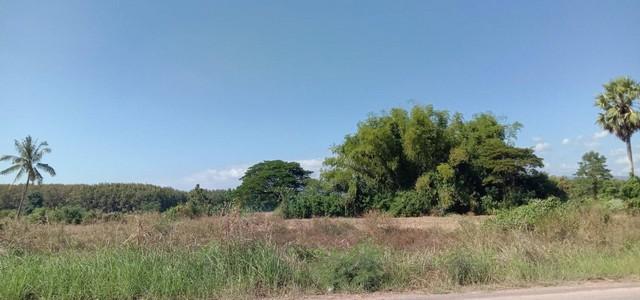 ���Թ ����˹ͧ���