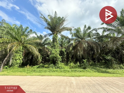 ���Թ �� ��� �����