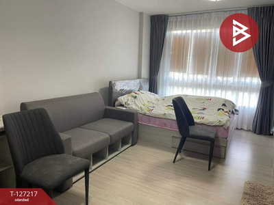 ��¤͹� ���Ź�û��