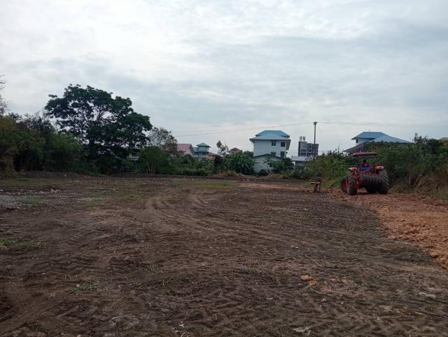 ���Թ 19 ���