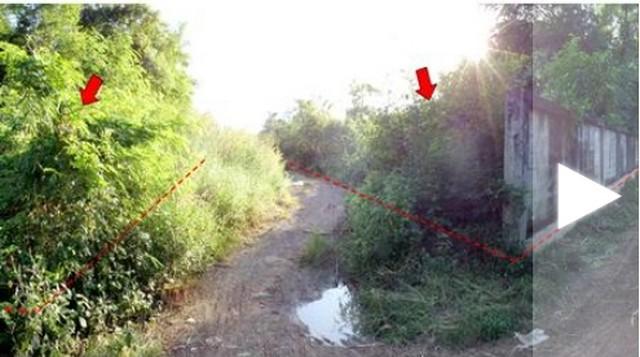 ��·��Թ ���ͧ������������