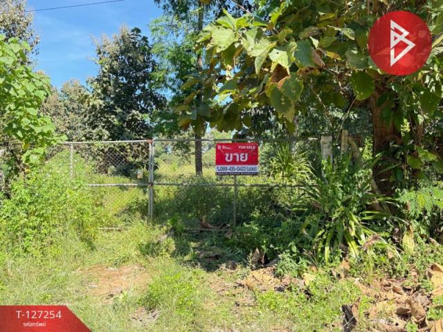 ��§���� �� The Best Property Agent