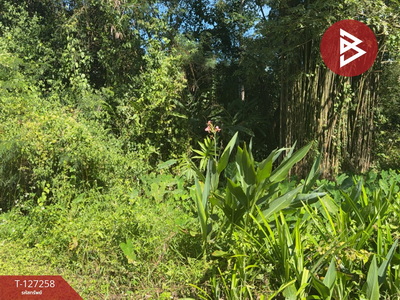 ��§���� �� The Best Property Agent