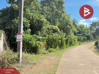 ��·��Թ ��§����