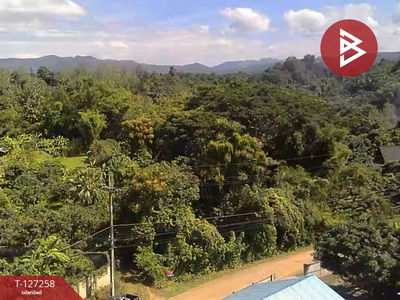 ���Թ����͹��յ ��§����