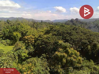 ���Թ��л���Ҷ֧ ��§����