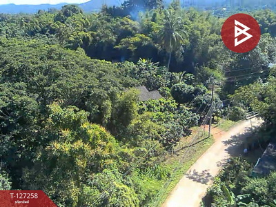 ���Թ�Դ��� ��§����