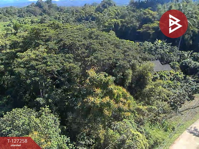 ���Թ������觪���� ��§����